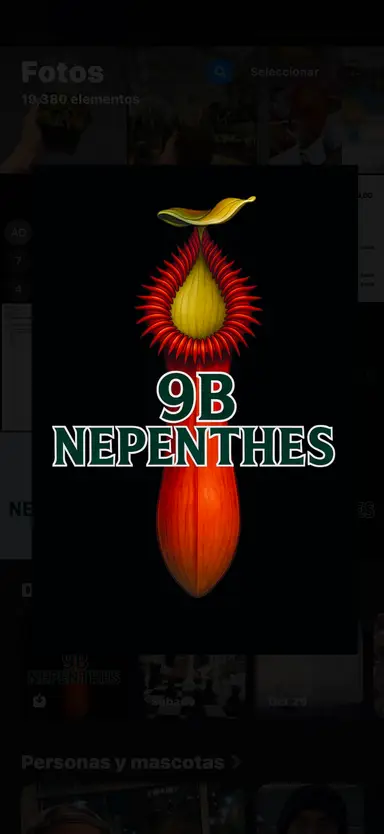 9bnepenthes_