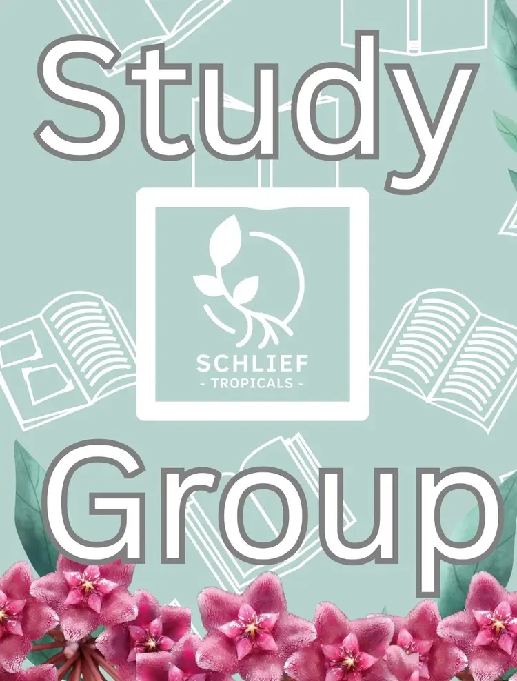 Hoya Study Group - MB Hybrids!!