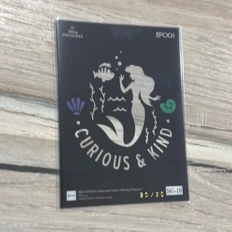 Stained Glass Ariel # 20/20