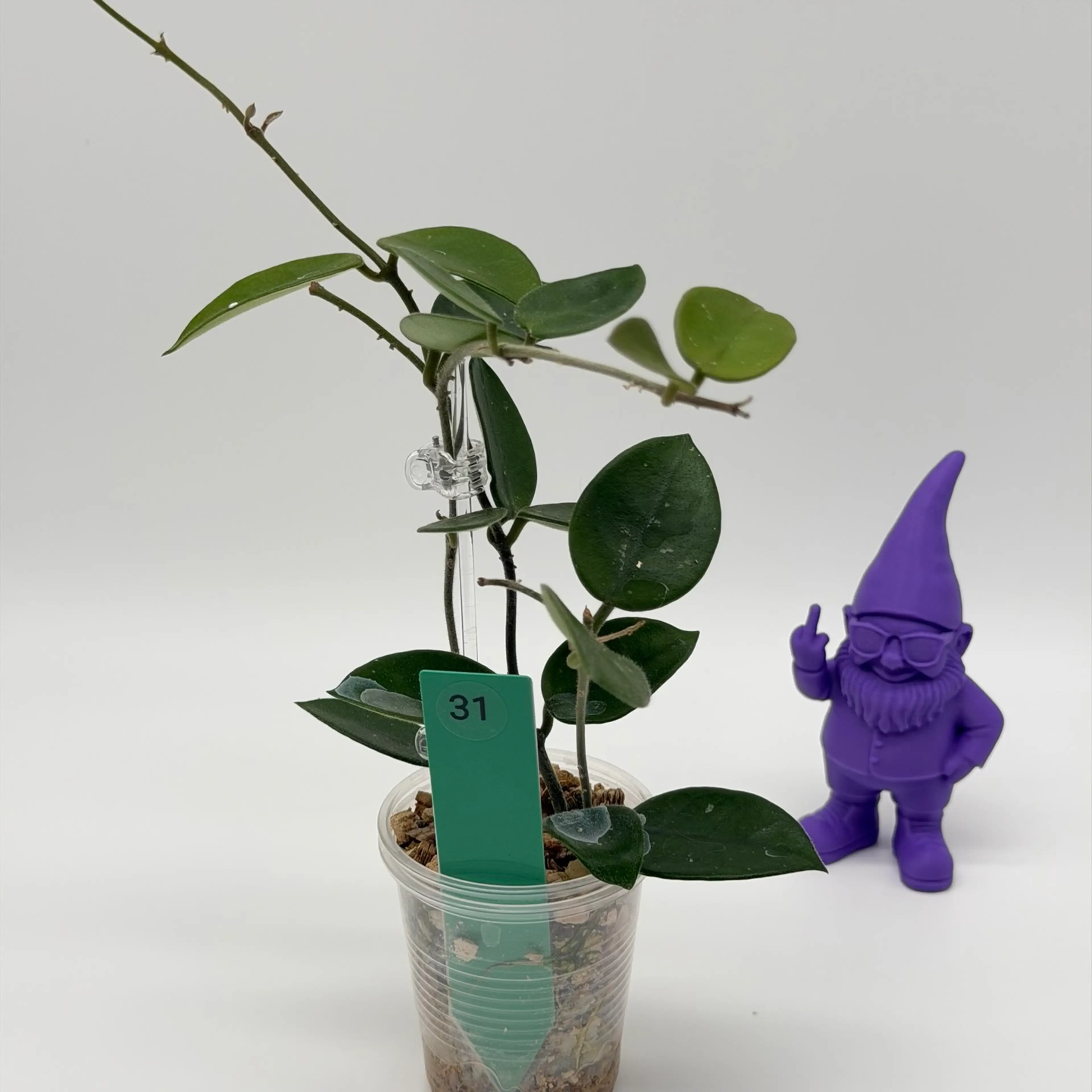 Image 2 of 2