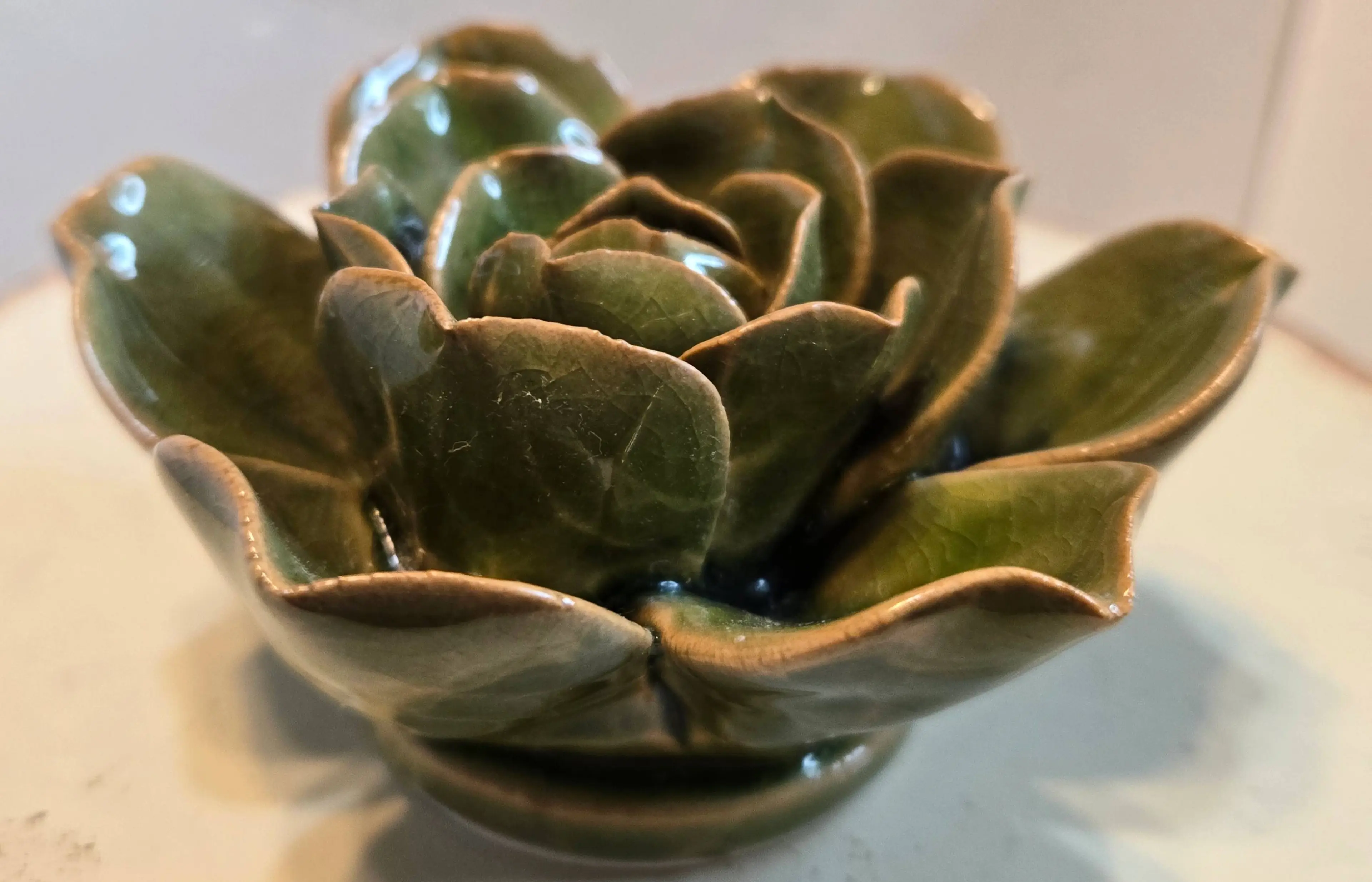 Image 2 of 5