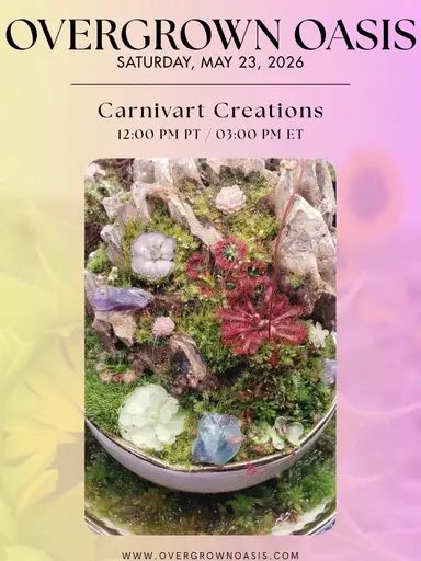 Carnivart Creations