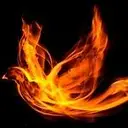 fierydove