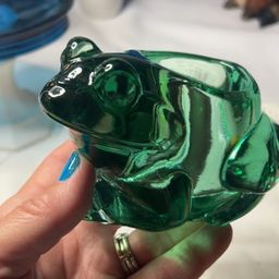 Indians Glass Frog
