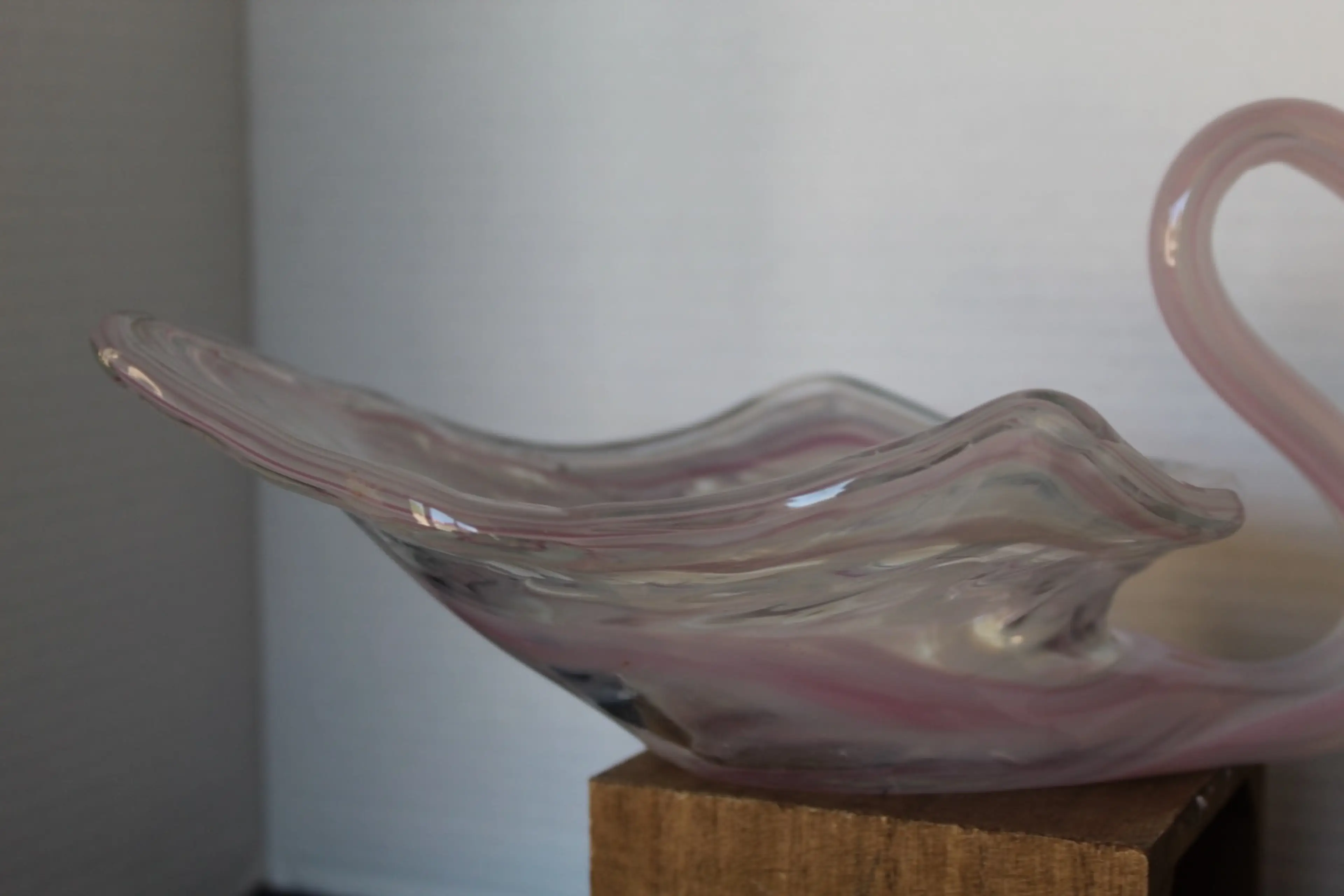 Image 5 of 14