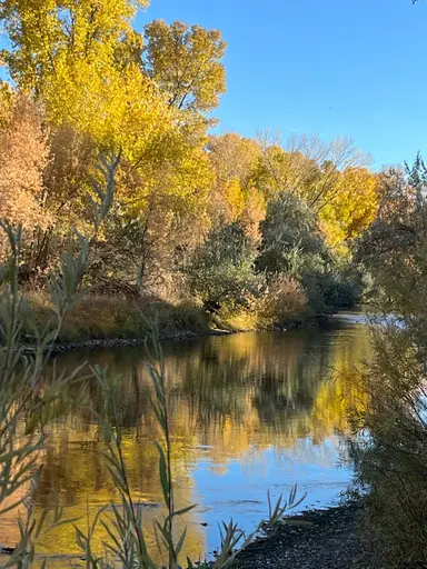 Tons Of Lowered SB’s.