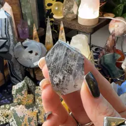 Dendritic Agate Freeform 15h