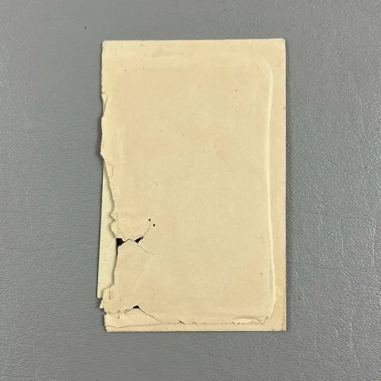 Antique 1800s Photo Portrait Tin Type Tintype Two Women Young Ladies White Dresses