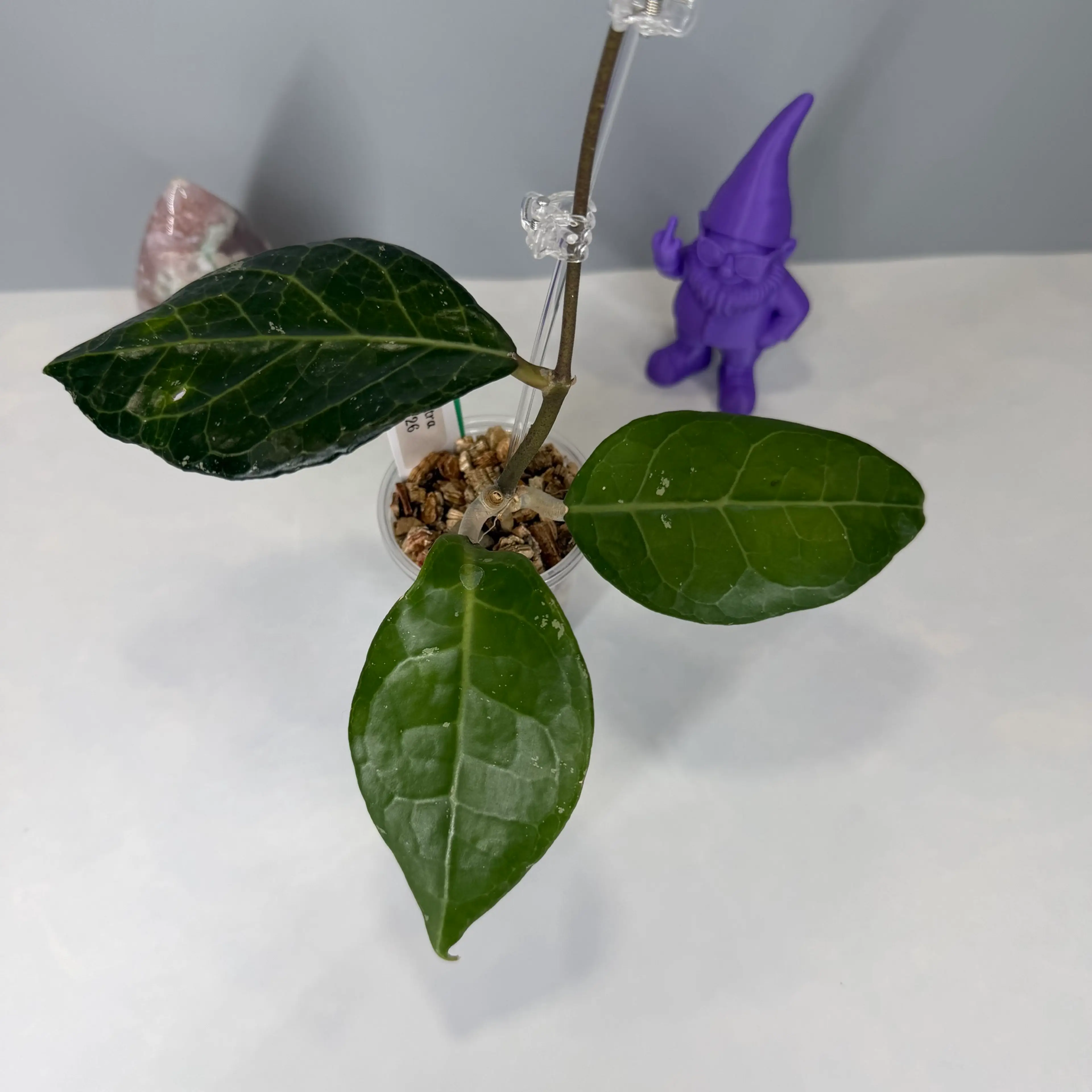 Image 2 of 3