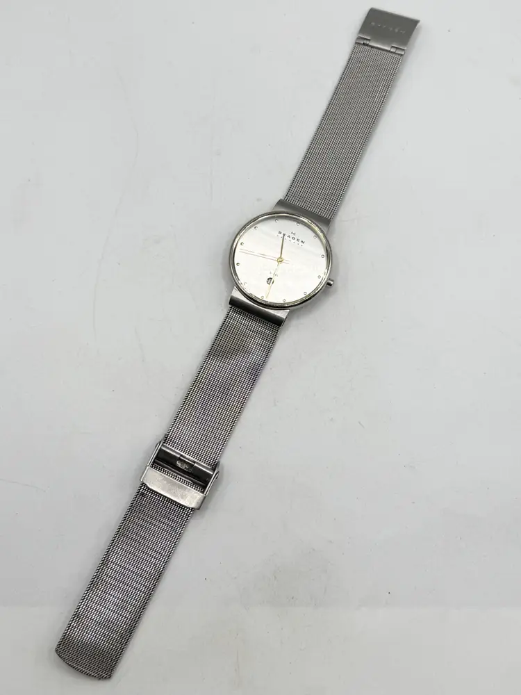 Skagen Classic Men's Watch 355LGSC