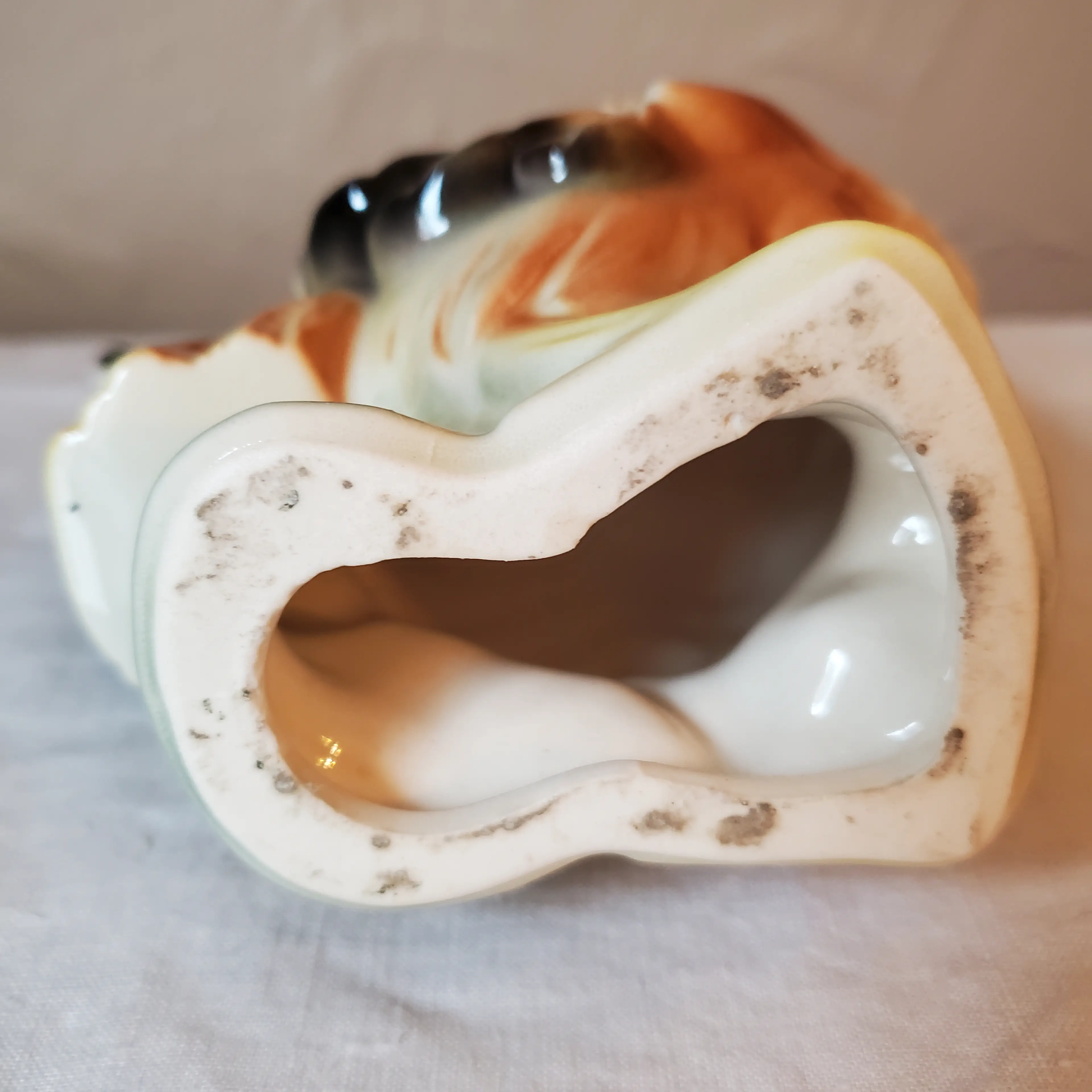 Image 5 of 6