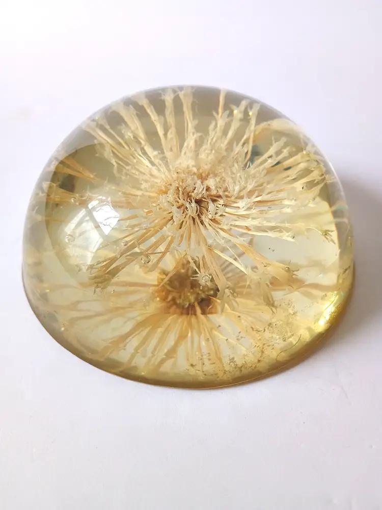 Vintage Resin Dandelion Paperweight