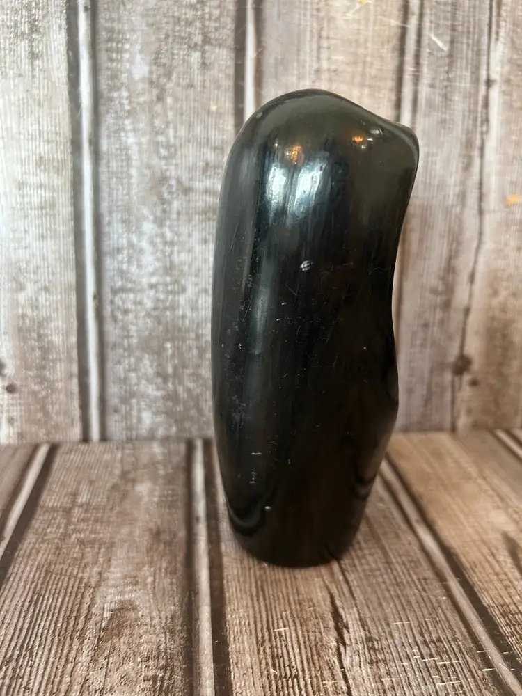 Blue corn Santa Clara pottery signed by Freddie BraveEagle