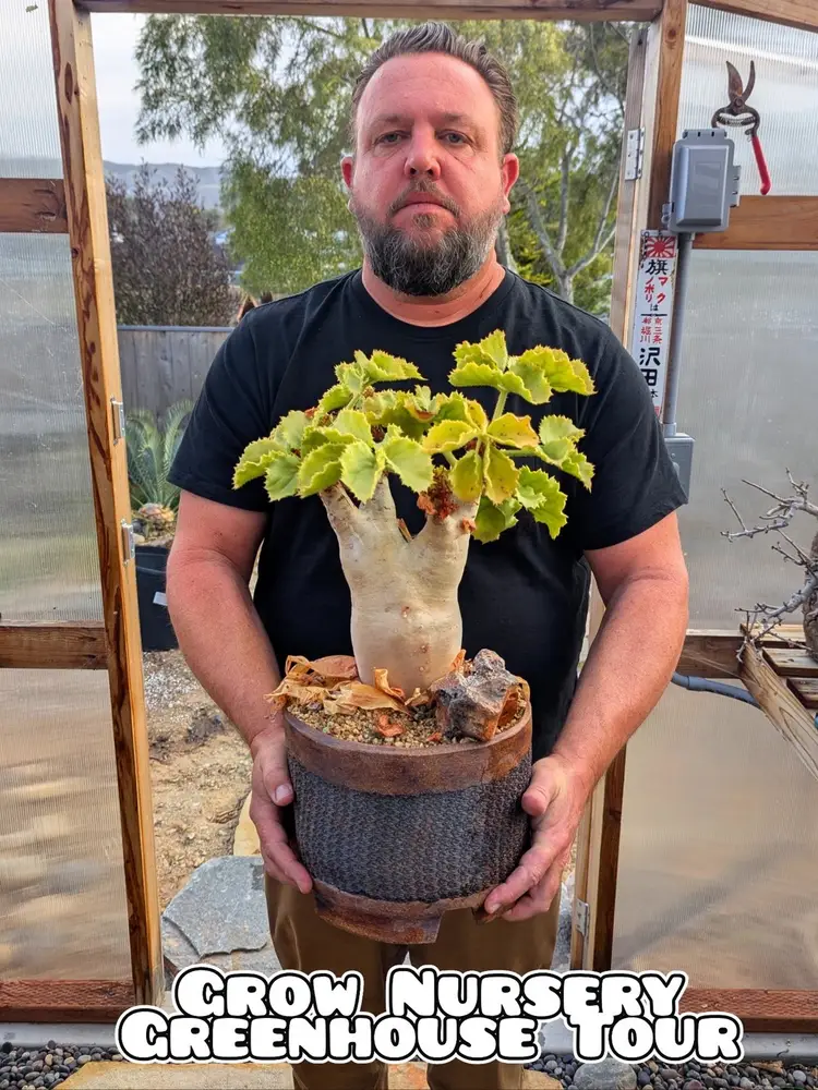 Grow Nursery Greenhouse Tour