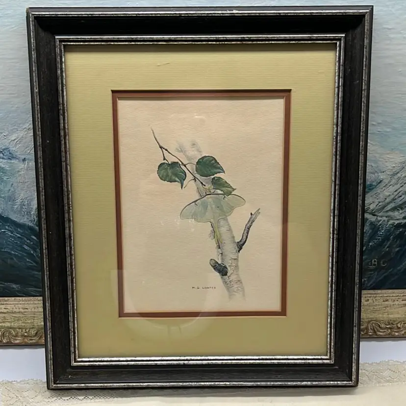 Vtg Moth Bug Print Wood Frame Double Matted