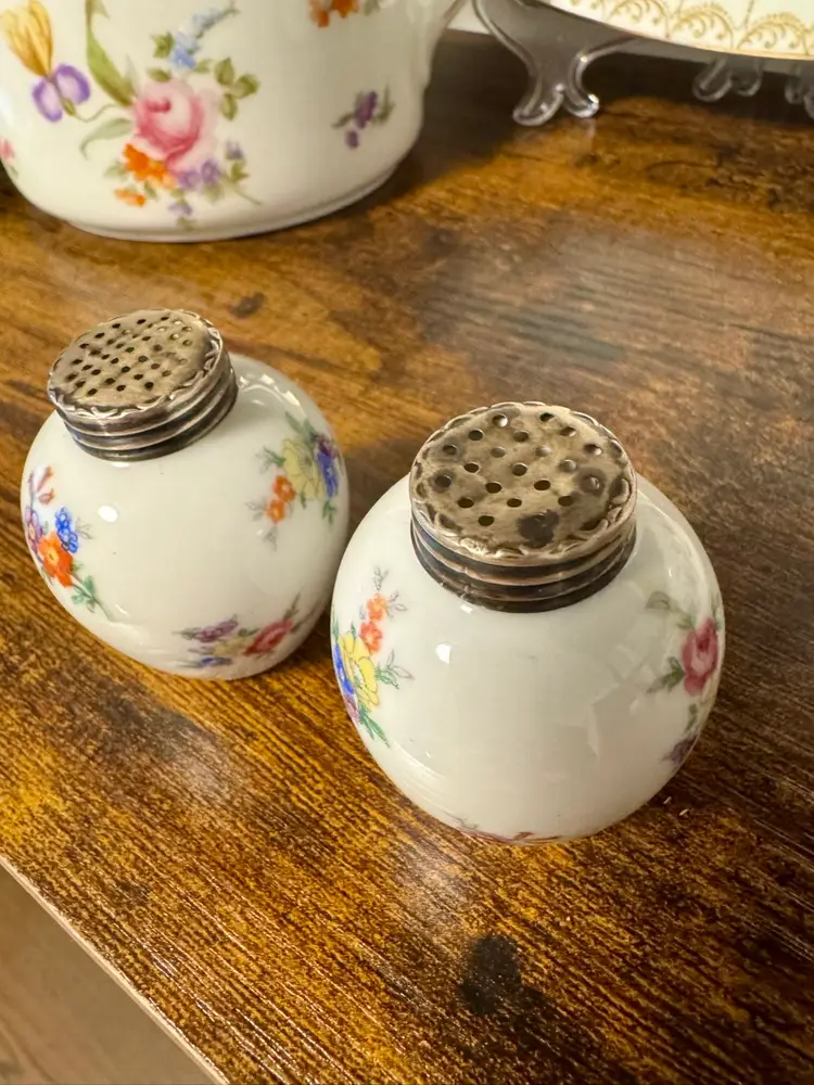 Antique Johann Haviland Bavaria Porcelain Salt & Pepper Shakers