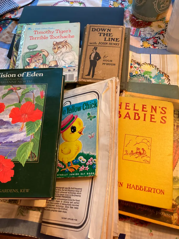 Collective Thrift Haul Of Books