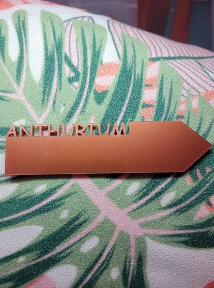“Anthurium” acrylic plant label (multiple colors available)