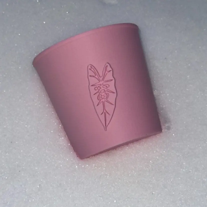 PoT01 3inch cover pot