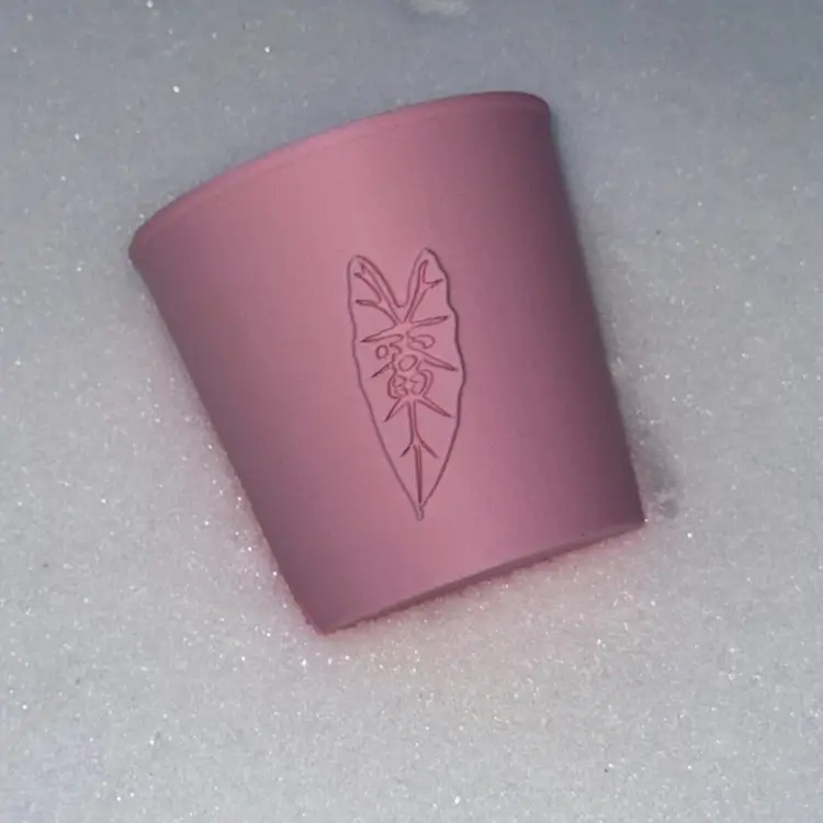 PoT01 3inch cover pot