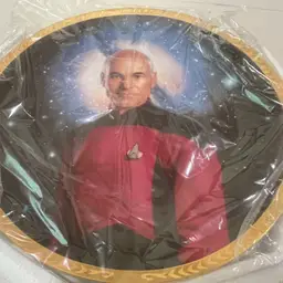 Star Trek The Next Generation Hamilton Plate Captain Jean-Luc Picard 1993