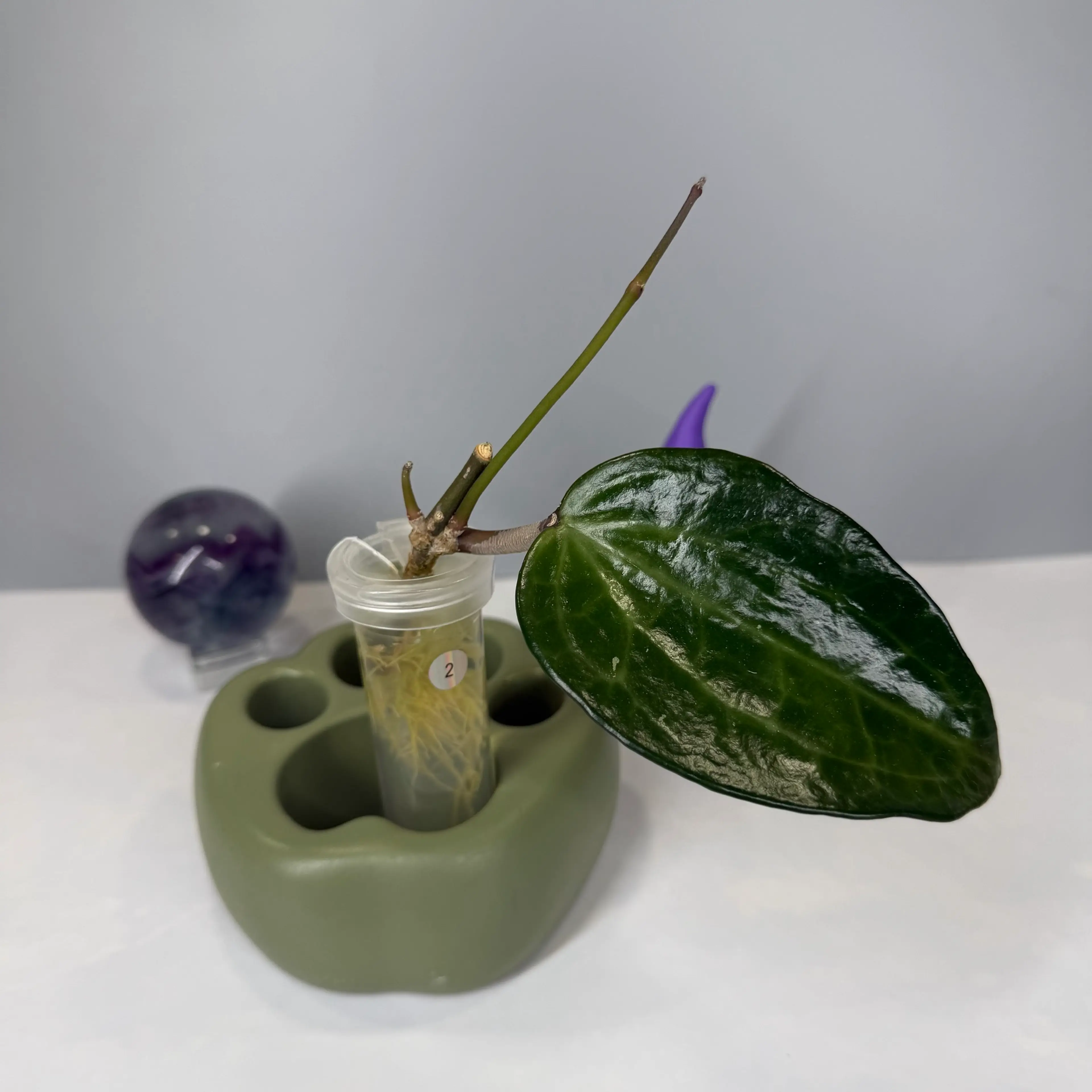 Image 1 of 2