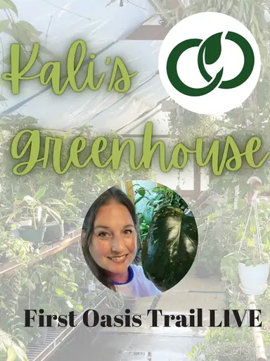 First Oasis Trail/LIVE!