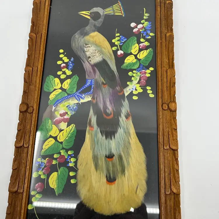 Vintage Mexican Folk Art Feathered/feather craft Bird Wall Art Carved Wood Frame