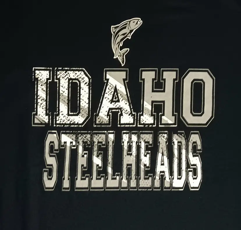 Idaho Steelheads hockey t-shirt NEW nwot minor league ECHL Vandals