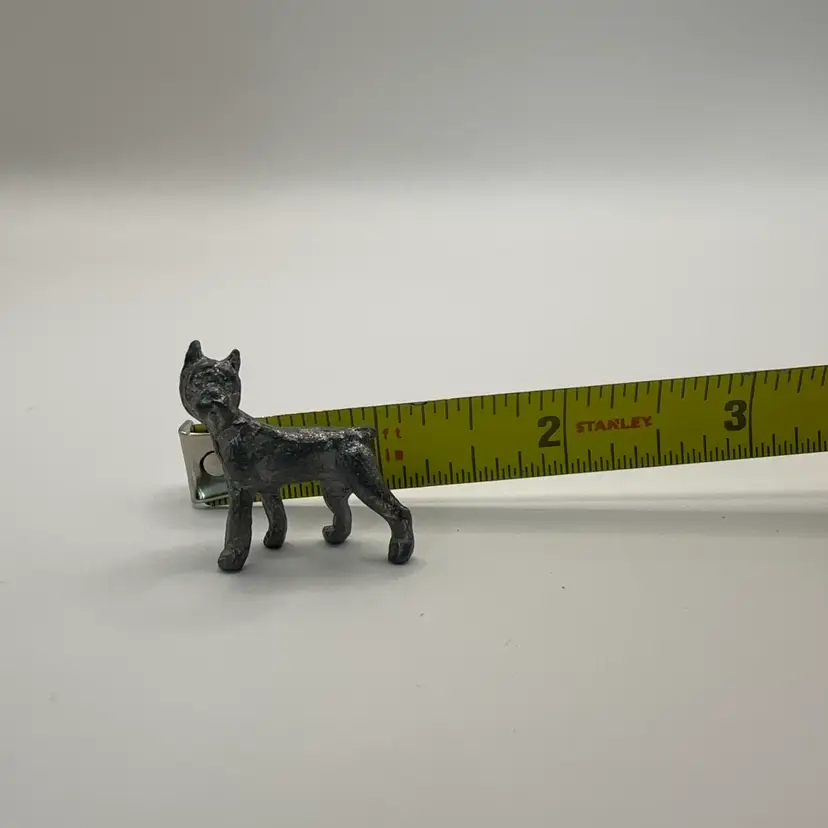 Pewter Point Eared Dog