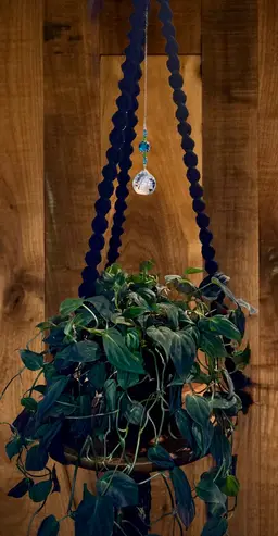 Handmade Macrame Plant Hanger with Wood Base