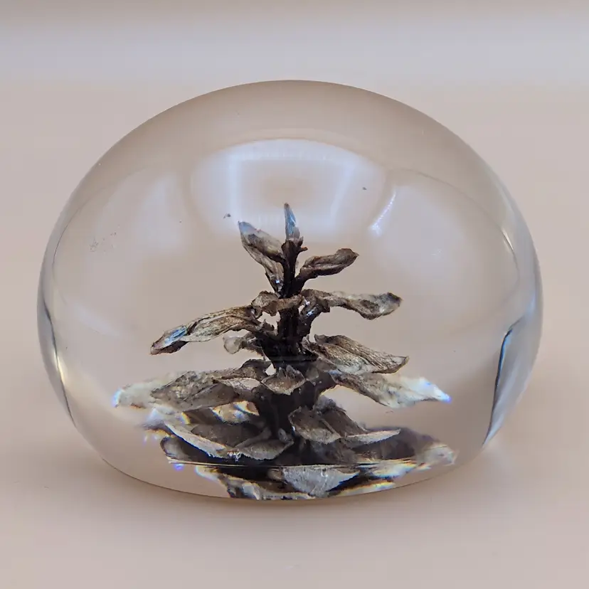 Vintage Pine Cone Paperweight Clear Resin Acrylic Dome Nature Home Decor Gift