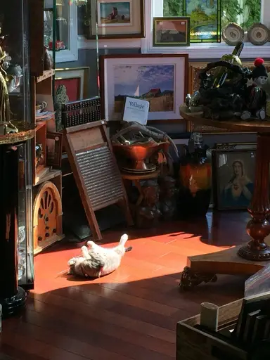 Tuesday Night Live Vintage Variety At Vintiquity 