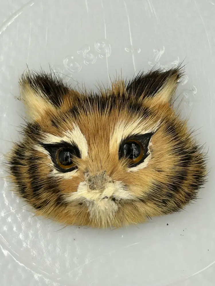 Vintage Furry Cat Face, Brooch, Pin, Orange, White, Black Tabby, Kitty Tiger Striped