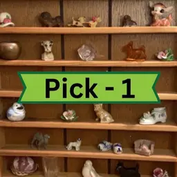 #06 - Mini - Pick 1