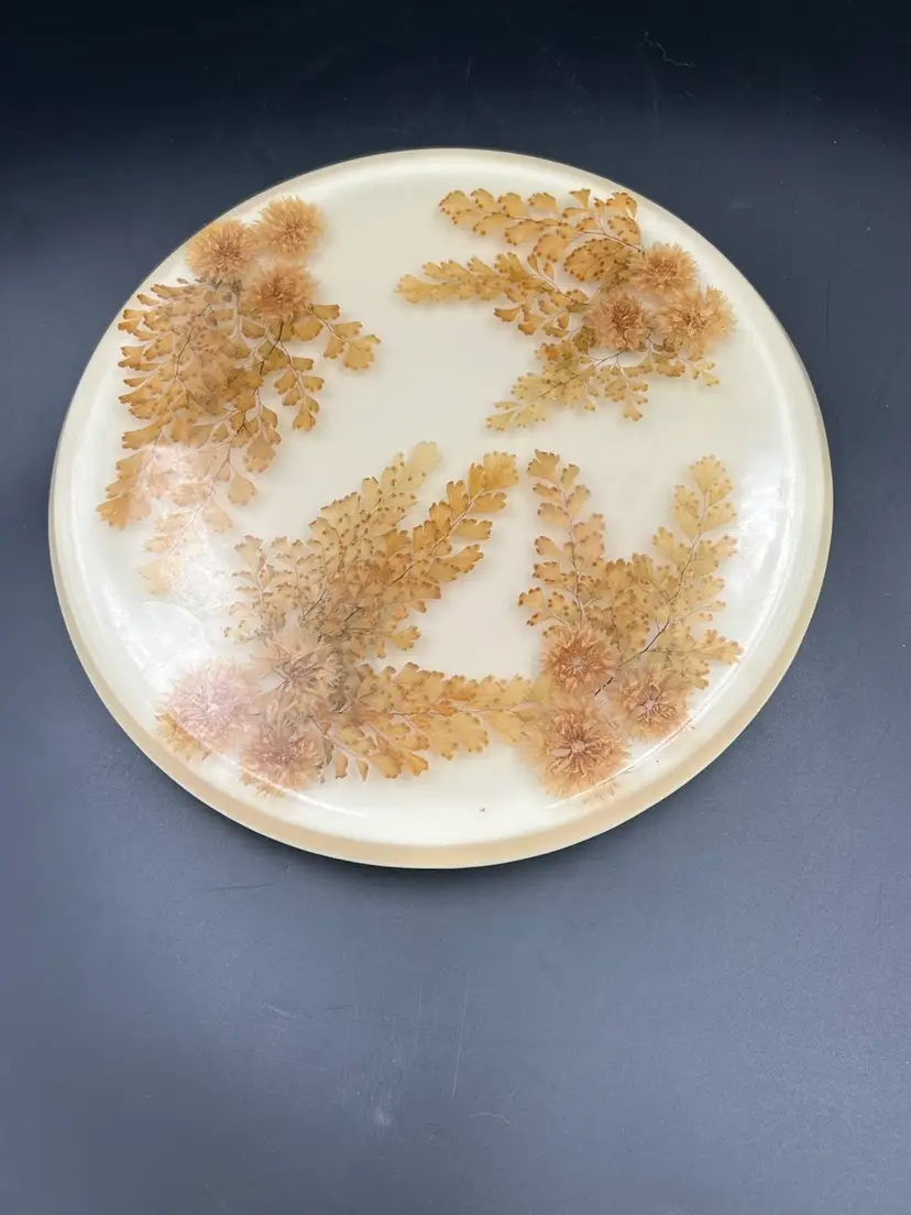 Acrylic Resin Lucite Hot Plate Trivet Footed Dried Pressed Flowers And Ferns