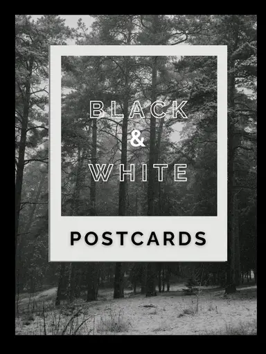 All Black & White Postcards! Antique/Vintage/Modern 