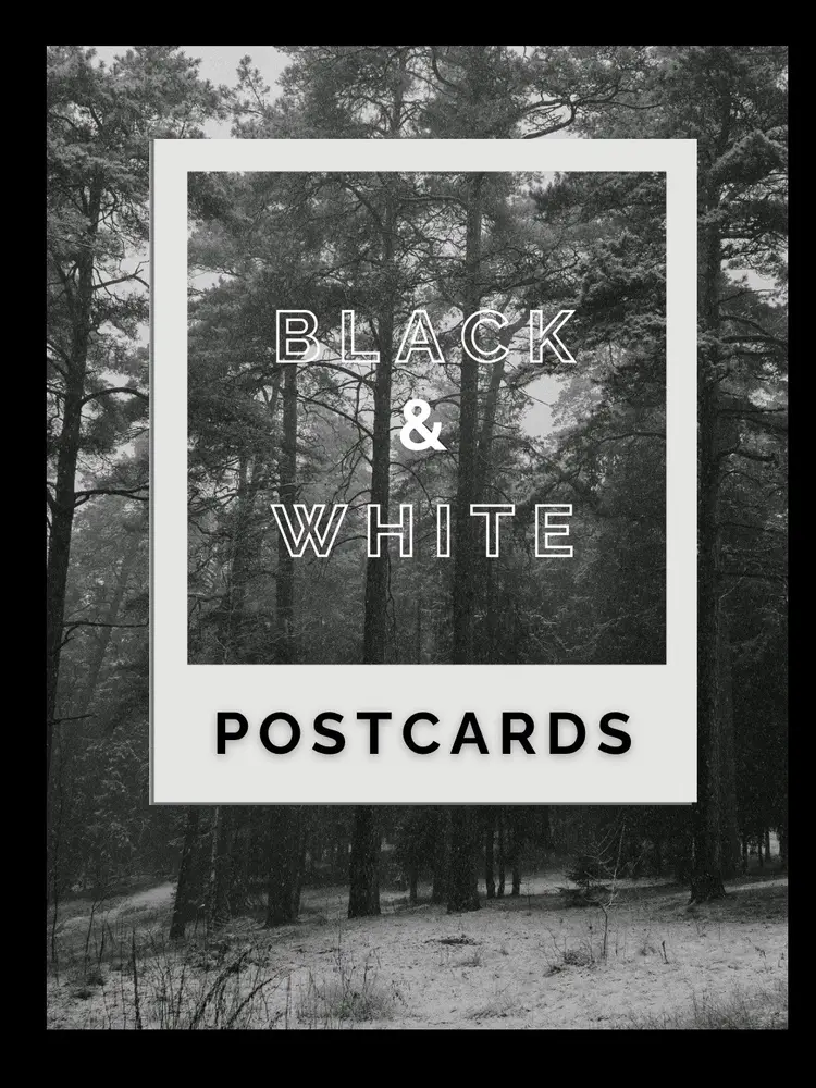 All Black & White Postcards! Antique/Vintage/Modern 