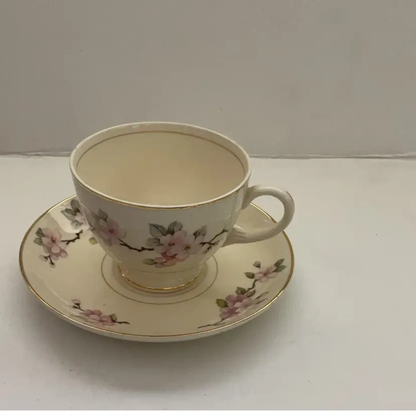 Nautilus Eggshell Teacup