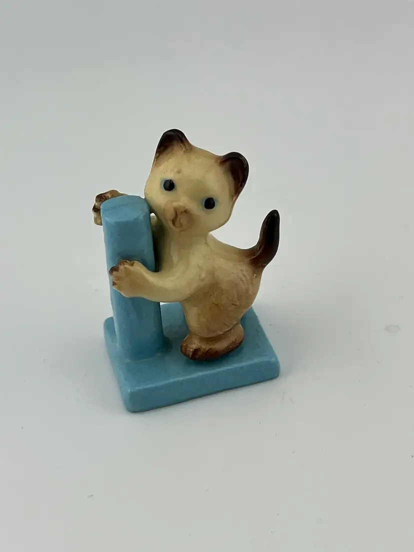 Mini Kitty at scratching post