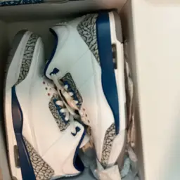 Air Jordan 3 Washington Wizards