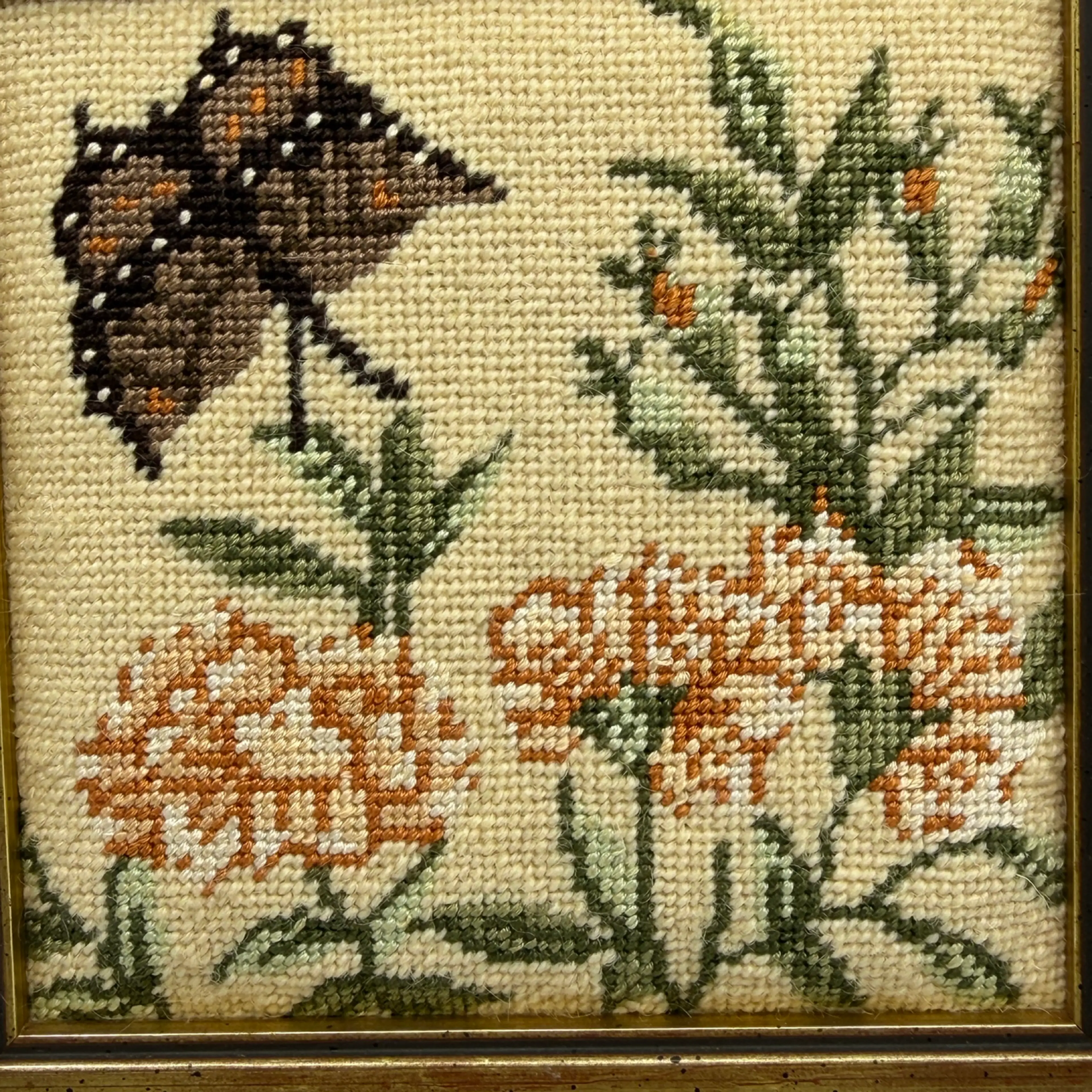 Image 2 of 7