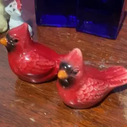 red bird s and p
