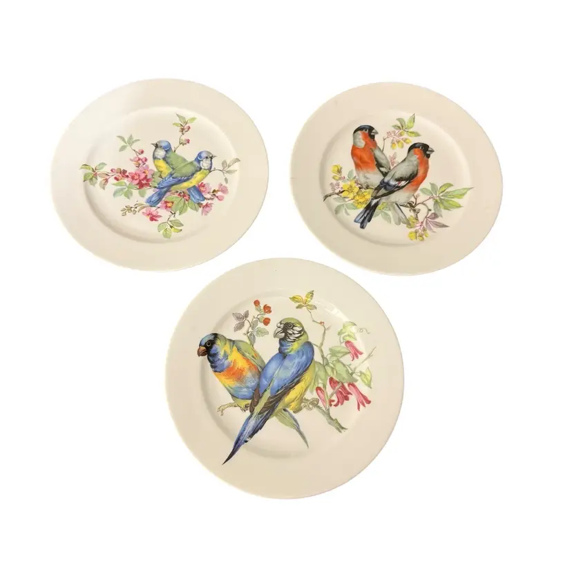 Vintage Schumann Arzberg Bavaria Germany Bird Plates Plate Wall Decor Set Of 3
