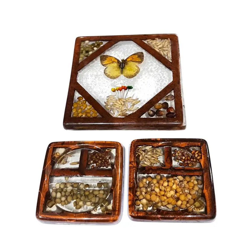 Vintage Trivet Coaster Butterfly Bug Acrylic Set by Gamut Designs USA 1970sFall Autumn Harvest Halloween
