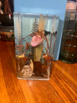 Lucite Lady Slipper , Butterfly, Dried Flowers And A Rock 6” Tall By 3 In Wide