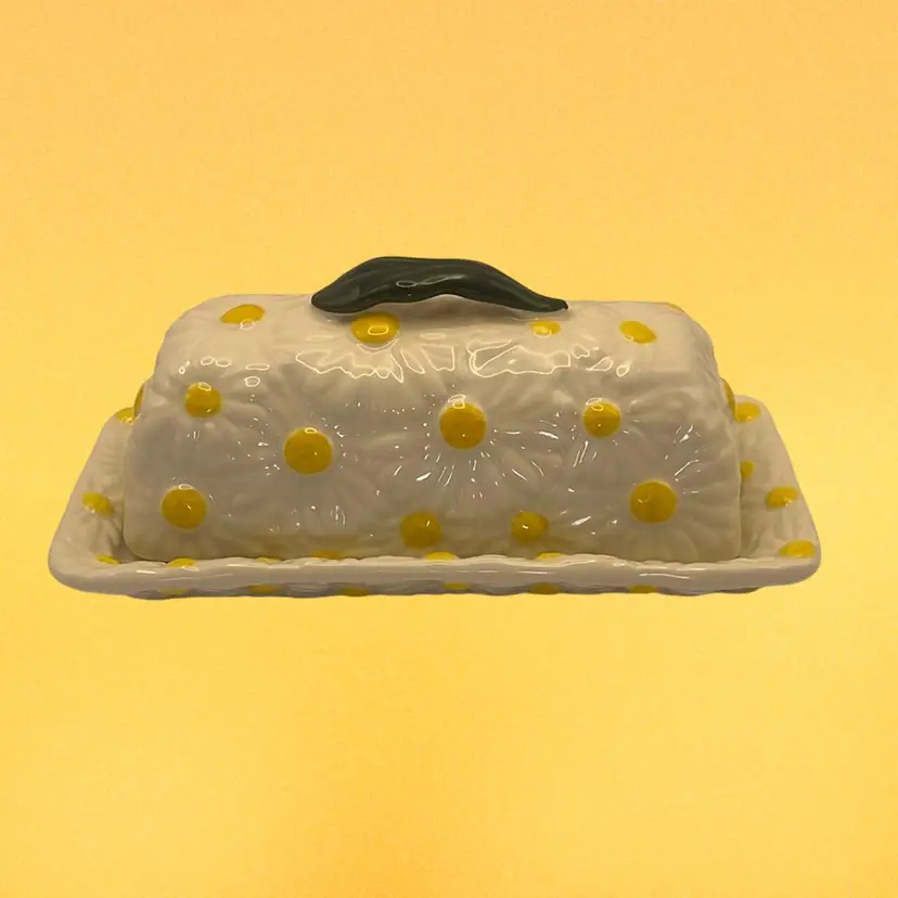 Anthropologie Butter Dish, 7-1/2” In Length
