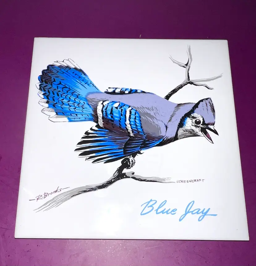 Hand Painted Screen Craft 6” Ceramic Blue Jay Tile Trivet R. Brooks