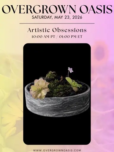 Handmade Planter Sale