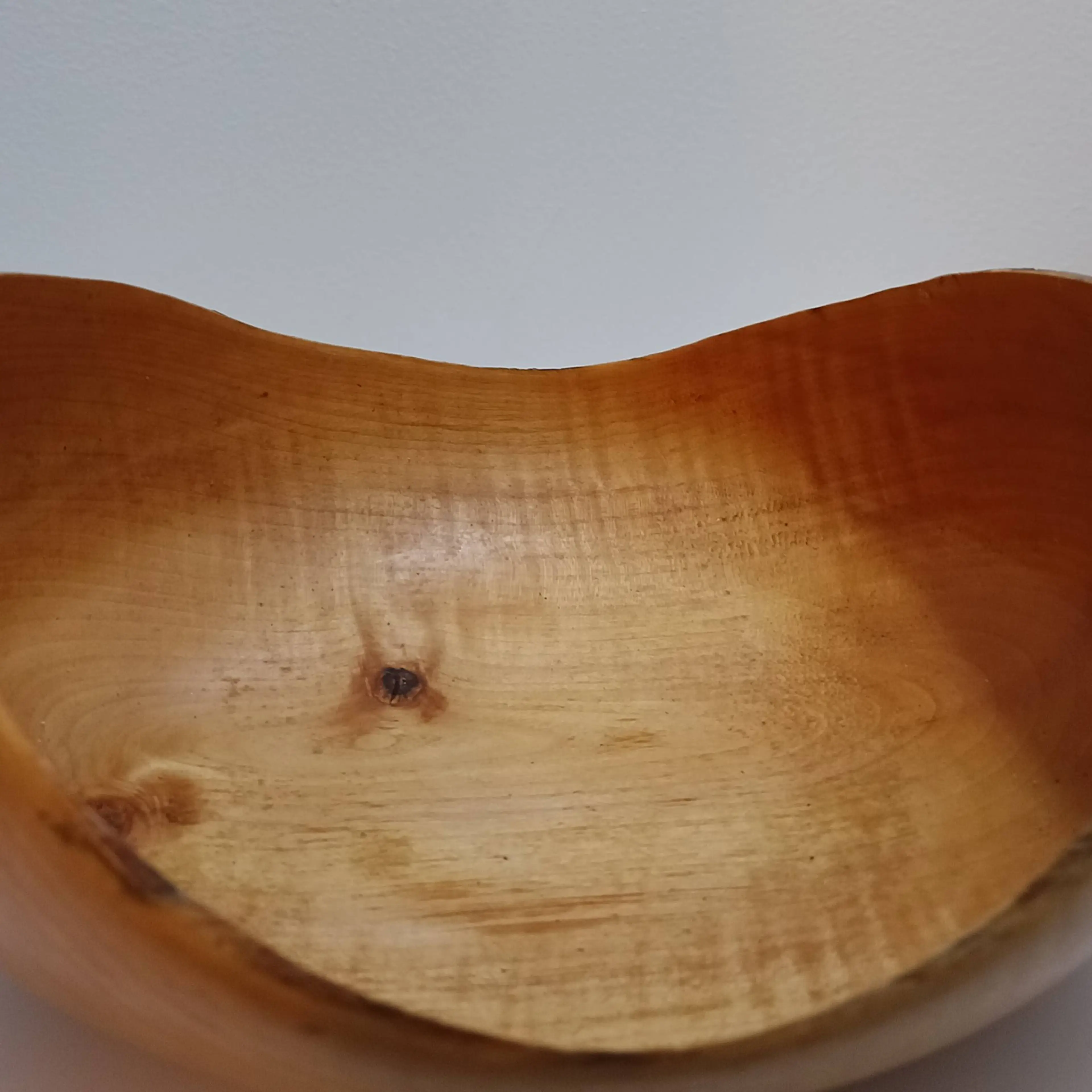 Image 5 of 5